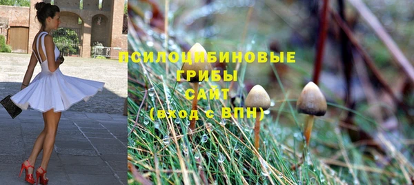 соль ск Алзамай