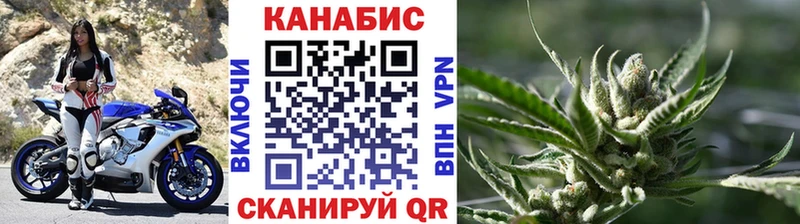 Купить закладки  Кохма  Канабис ГИДРОПОН 